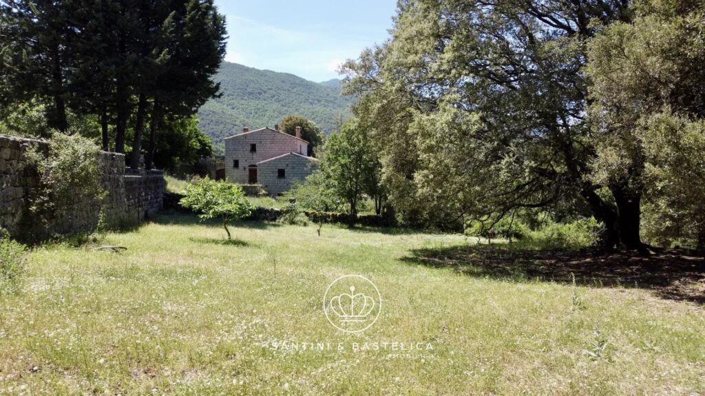 Terrain constructible à vendre à Zicavo – Corse-du-Sud