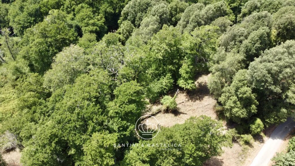 Terrain constructible de 1 641 m² à Vero en Corse-du-Sud : une opportunité rare entre mer et montagne